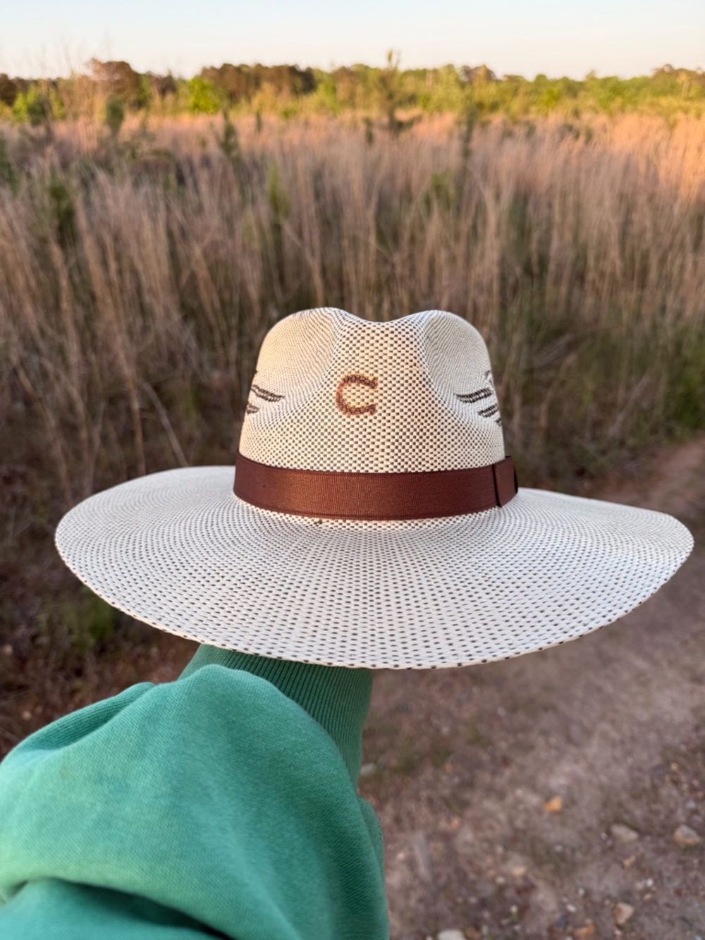 Charlie 1 Horse Straw Cowboy Hat